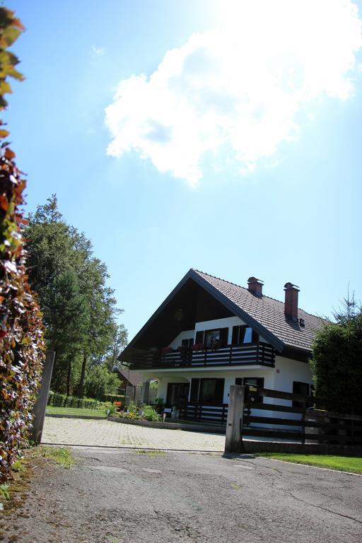 Lake House Apartment Medvode Exterior photo